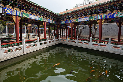 soi cau 258