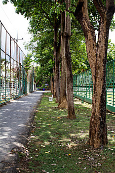 đánh lô dàn hiệu quả